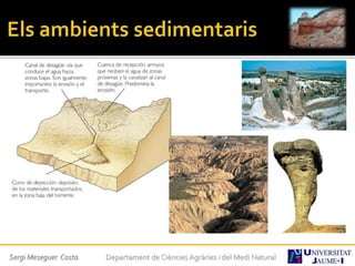 Sergi Meseguer Costa Departament de Ciències Agràries i del Medi Natural
 