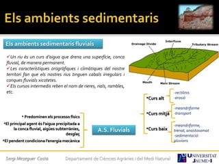 Sergi Meseguer Costa Departament de Ciències Agràries i del Medi Natural
Els ambients sedimentaris fluvials
Un riu és un curs d’aigua que drena una superfície, conca
fluvial, de manera permanent.
Les característiques orogràfiques i climàtiques del nostre
territori fan que els nostres rius tinguen cabals irregulars i
conques fluvials xicotetes.
Els cursos intermedis reben el nom de rieres, rials, rambles,
etc.
•Curs alt
•Curs mitjà
•Curs baixA.S. Fluvials
• Predominen els processo físics
•El principal agent és l’aigua precipitada a
la conca fluvial, aigües subterrànies,
desglaç
•El pendent condiciona l’energia mecànica
-rectilinis
-erosió
-meandriforme
-transport
-meandriforme,
trenat, anastosomat
-sedimentació:
aluvions
 