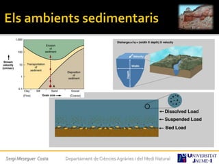 Sergi Meseguer Costa Departament de Ciències Agràries i del Medi Natural
 