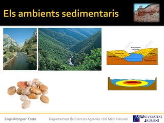 Sergi Meseguer Costa Departament de Ciències Agràries i del Medi Natural
 
