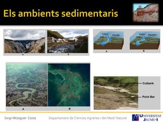 Sergi Meseguer Costa Departament de Ciències Agràries i del Medi Natural
 