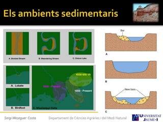 Sergi Meseguer Costa Departament de Ciències Agràries i del Medi Natural
 