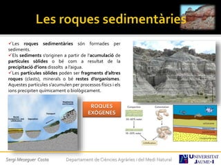 Les roques sedimentàries són formades per
sediments.
Els sediments s’originen a partir de l’acumulació de
partícules sòlides o bé com a resultat de la
precipitació d’ions dissolts a l’aigua.
Les partícules sòlides poden ser fragments d’altres
roques (clasts), minerals o bé restes d’organismes.
Aquestes partícules s’acumulen per processos físics i els
ions precipiten químicament o biològicament.
ROQUES
EXÒGENES
Sergi Meseguer Costa Departament de Ciències Agràries i del Medi Natural
 