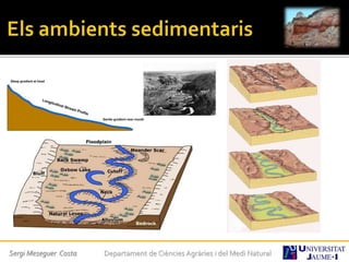 Sergi Meseguer Costa Departament de Ciències Agràries i del Medi Natural
 