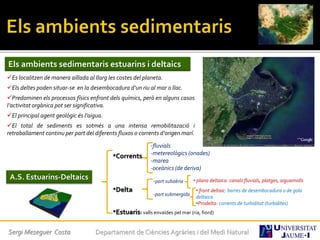 Sergi Meseguer Costa Departament de Ciències Agràries i del Medi Natural
Els ambients sedimentaris estuarins i deltaics
Es localitzen de manera aïllada al llarg les costes del planeta.
Els deltes poden situar-se en la desembocadura d’un riu al mar o llac.
Predominen els processos físics enfront dels químics, però en alguns casos
l’activitat orgànica pot ser significativa.
El principal agent geològic és l’aigua.
El total de sediments es sotmés a una intensa remobilitazació i
retraballament continu per part del diferents fluxos o corrents d’origen marí.
•Corrents
•Delta
•Estuaris: valls envaïdes pel mar (ria, fiord)
A.S. Estuarins-Deltaics
-fluvials
-metereològics (onades)
-marea
-oceànics (de deriva)
-part subaèria
-part submergida
• plana deltaica: canals fluvials, platges, aiguamolls
• front deltaic: barres de desembocadura o de gola
deltaica
•Prodelta: corrents de turbiditat (turbidites)
 