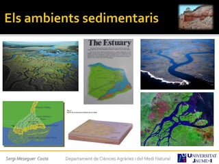 Sergi Meseguer Costa Departament de Ciències Agràries i del Medi Natural
 