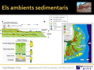 Sergi Meseguer Costa Departament de Ciències Agràries i del Medi Natural
 