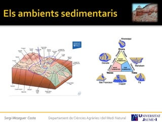 Sergi Meseguer Costa Departament de Ciències Agràries i del Medi Natural
 