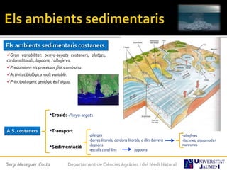 Sergi Meseguer Costa Departament de Ciències Agràries i del Medi Natural
Els ambients sedimentaris costaners
Gran variabilitat: penya-segats costaners, platges,
cordons litorals, lagoons, i albuferes.
Predominen els processos físics amb una
Activitat biològica molt variable.
Principal agent geològic és l’aigua.
•Erosió:
•Transport
•Sedimentació
A.S. costaners
-Penya-segats
-albuferes
-llacunes, aiguamolls i
maresmes
-platges
-barres litorals, cordons litorals, o illes barrera
-lagoons
-esculls coral·lins lagoons
 