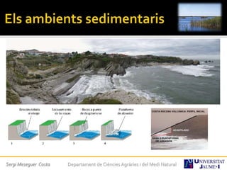 Sergi Meseguer Costa Departament de Ciències Agràries i del Medi Natural
 