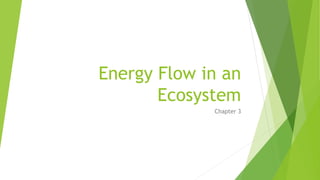 Energy Flow in an
Ecosystem
Chapter 3
 