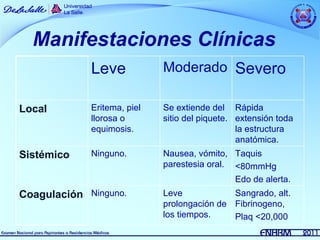 Manifestaciones Clínicas
             Leve            Moderado Severo

Local        Eritema, piel   Se extiende del Rápida
             llorosa o       sitio del piquete. extensión toda
             equimosis.                         la estructura
                                                anatómica.
Sistémico    Ninguno.        Nausea, vómito, Taquis
                             parestesia oral. <80mmHg
                                              Edo de alerta.
Coagulación Ninguno.         Leve            Sangrado, alt.
                             prolongación de Fibrinogeno,
                             los tiempos.    Plaq <20,000
 