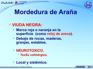Mordedura de Araña
   VIUDA NEGRA:
    •   Marca roja o naranja en la
        superficie (como reloj de arena).
    •   Debajo de rocas, maderas,
        granjas, establos.

    •   NEUROTOXICO.
         •   ToxSx colinérgico.

    •   Local y sistémico.
 