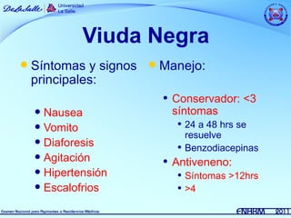 Viuda Negra
   Síntomas y signos  Manejo:
    principales:
                           Conservador: <3
     Nausea                síntomas
     Vomito                    24 a 48 hrs se
                                 resuelve
     Diaforesis
                                Benzodiacepinas
     Agitación            Antiveneno:
     Hipertensión              Síntomas >12hrs
     Escalofrios               >4
 