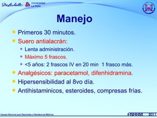 Manejo
   Primeros 30 minutos.
   Suero antialacrán:
       Lenta administración.
       Máximo 5 frascos.
       <5 años: 2 frascos IV en 20 min 1 frasco más.
   Analgésicos: paracetamol, difenhidramina.
   Hipersensibilidad al 8vo día.
   Antihistaminicos, esteroides, compresas frías.
 