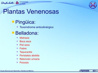 Plantas Venenosas
   Pingüica:
       Toxsíndrome anticolinérgico

   Belladona:
       Midriasis
       Boca seca
       Piel seca
       Fiebre
       Taquicardia
       Peristalsis abolida
       Retención urinaria
       Psicosis
 