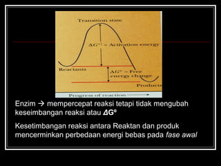 Enzim  mempercepat reaksi tetapi tidak mengubah
keseimbangan reaksi atau ΔGº
Kesetimbangan reaksi antara Reaktan dan produk
mencerminkan perbedaan energi bebas pada fase awal
 