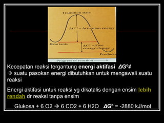 Kecepatan reaksi tergantung energi aktifasi ΔGº≠
 suatu pasokan energi dibutuhkan untuk mengawali suatu
reaksi
Energi aktifasi untuk reaksi yg dikatalis dengan ensim lebih
rendah dr reaksi tanpa ensim
Glukosa + 6 O2  6 CO2 + 6 H2O ΔGº = -2880 kJ/mol
 