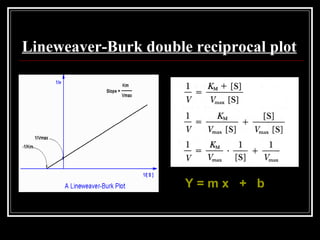 Lineweaver-Burk double reciprocal plot
Y = m x + b
 