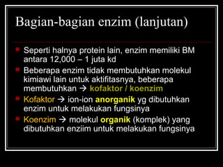 Bagian-bagian enzim (lanjutan)
 Seperti halnya protein lain, enzim memiliki BM
antara 12,000 – 1 juta kd
 Beberapa enzim tidak membutuhkan molekul
kimiawi lain untuk aktifitasnya, beberapa
membutuhkan  kofaktor / koenzim
 Kofaktor  ion-ion anorganik yg dibutuhkan
enzim untuk melakukan fungsinya
 Koenzim  molekul organik (komplek) yang
dibutuhkan enziim untuk melakukan fungsinya
 