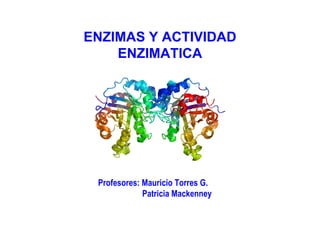 ENZIMAS Y ACTIVIDAD
ENZIMATICA
Profesores: Mauricio Torres G.
Patricia Mackenney
 