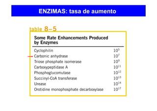 ENZIMAS: tasa de aumento
 