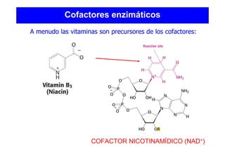 Cofactores enzimáticos
A menudo las vitaminas son precursores de los cofactores:
COFACTOR NICOTINAMÍDICO (NAD+)
 