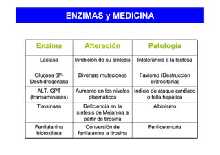ENZIMAS y MEDICINA
EnzimaEnzima AlteraciAlteracióónn PatologPatologííaa
LactasaLactasa InhibiciInhibicióón de su sn de su sííntesisntesis Intolerancia a la lactosaIntolerancia a la lactosa
Glucosa 6PGlucosa 6P--
DeshidrogenasaDeshidrogenasa
Diversas mutacionesDiversas mutaciones FavismoFavismo (Destrucci(Destruccióónn
eritrocitariaeritrocitaria))
ALT, GPTALT, GPT
(transaminasas)(transaminasas)
Aumento en los nivelesAumento en los niveles
plasmplasmááticosticos
Indicio de ataque cardIndicio de ataque cardííacoaco
o falla hepo falla hepááticatica
TirosinasaTirosinasa Deficiencia en laDeficiencia en la
ssííntesis de Melanina antesis de Melanina a
partir de tirosinapartir de tirosina
AlbinismoAlbinismo
FenilalaninaFenilalanina
hidroxilasahidroxilasa
ConversiConversióón den de
fenilalanina a tirosinafenilalanina a tirosina
FenilcetonuriaFenilcetonuria
 