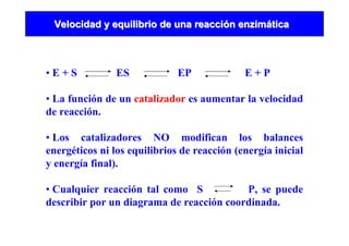 Velocidad y equilibrio de una reacciVelocidad y equilibrio de una reaccióón enzimn enzimááticatica
• E + S ES EP E + P
• La función de un catalizador es aumentar la velocidad
de reacción.
• Los catalizadores NO modifican los balances
energéticos ni los equilibrios de reacción (energía inicial
y energía final).
• Cualquier reacción tal como S P, se puede
describir por un diagrama de reacción coordinada.
 