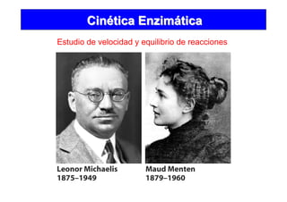 CinCinéética Enzimtica Enzimááticatica
Estudio de velocidad y equilibrio de reacciones
 