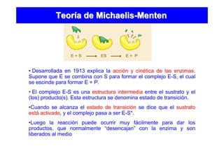 TeorTeoríía dea de MichaelisMichaelis--MentenMenten
• Desarrollada en 1913 explica la acción y cinética de las enzimas.
Supone que E se combina con S para formar el complejo E-S, el cual
se escinde para formar E + P.
• El complejo E-S es una estructura intermedia entre el sustrato y el
(los) producto(s). Esta estructura se denomina estado de transición.
•Cuando se alcanza el estado de transición se dice que el sustrato
está activado, y el complejo pasa a ser E-S*.
•Luego la reacción puede ocurrir muy fácilmente para dar los
productos, que normalmente “desencajan” con la enzima y son
liberados al medio
 