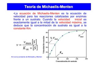 TeorTeoríía dea de MichaelisMichaelis--MentenMenten
•La ecuación de Michaelis-Menten es la ecuación de
velocidad para las reacciones catalizadas por enzimas
frente a un sustrato. Cuando la velocidad inicial es
exactamente igual a la mitad de la velocidad máxima, se
deduce que la concentración de sustrato es igual a la
constante Km.
Km es la constante de Michaelis y Menten
 