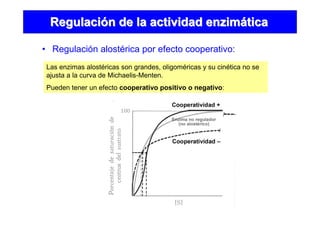 • Regulación alostérica por efecto cooperativo:
RegulaciRegulacióón de la actividad enzimn de la actividad enzimááticatica
Las enzimas alostéricas son grandes, oligoméricas y su cinética no se
ajusta a la curva de Michaelis-Menten.
Pueden tener un efecto cooperativo positivo o negativo:
 