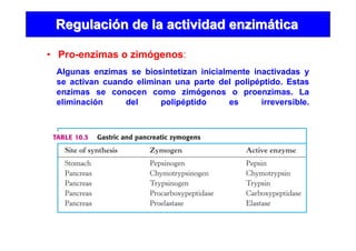 RegulaciRegulacióón de la actividad enzimn de la actividad enzimááticatica
• Pro-enzimas o zimógenos:
Algunas enzimas se biosintetizan inicialmente inactivadas y
se activan cuando eliminan una parte del polipéptido. Estas
enzimas se conocen como zimógenos o proenzimas. La
eliminación del polipéptido es irreversible.
 
