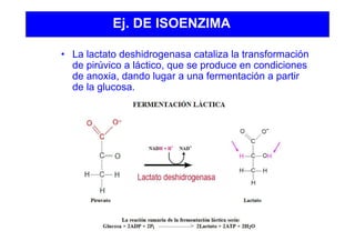Ej. DE ISOENZIMA
• La lactato deshidrogenasa cataliza la transformación
de pirúvico a láctico, que se produce en condiciones
de anoxia, dando lugar a una fermentación a partir
de la glucosa.
 
