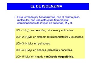 Ej. DE ISOENZIMA
• Está formada por 5 isoenzimas, con el mismo peso
molecular, con una estructura tetramérica:
combinaciones de 2 tipos de cadenas, M y H.
LDH-1 (H4): en corazón, músculos y eritrocitos.
LDH-2 (H3M): en sistema retículoendotelial y leucocitos.
LDH-3 (H2M2): en pulmones.
LDH-4 (HM3): en riñones, placenta y páncreas.
LDH-5 (M4): en hígado y músculo esquelético.
 
