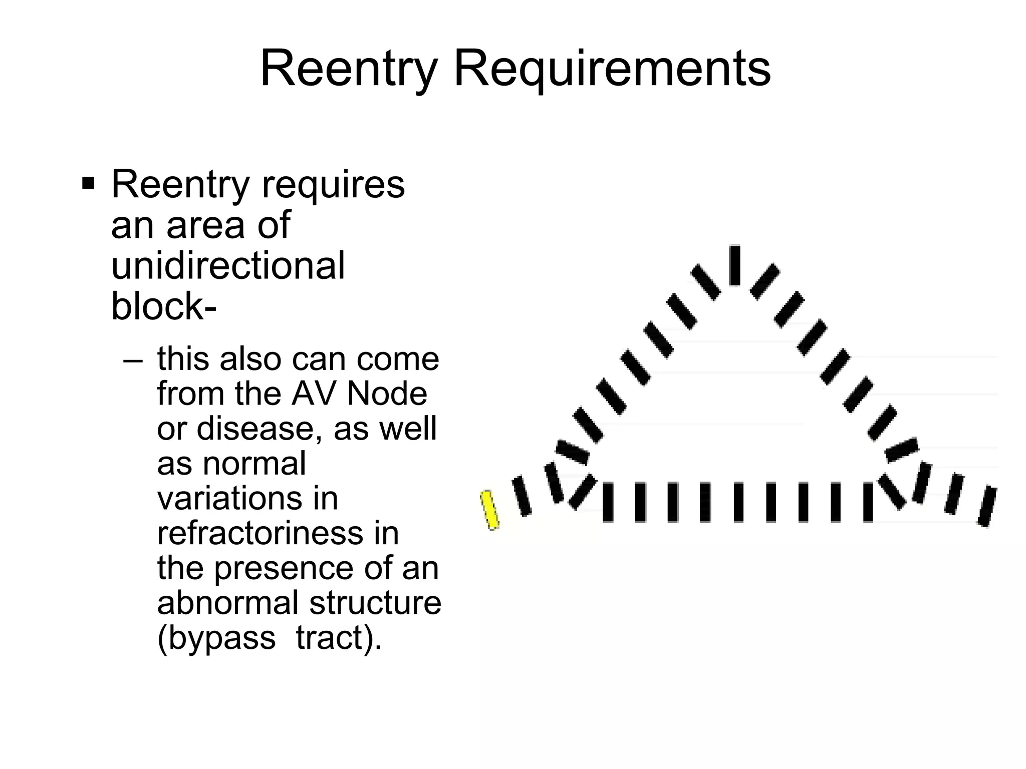Reentry Requirements

       Reentry requires
        an area of
        unidirectional
        block-
        – this also can come
          from the AV Node
          or disease, as well
          as normal
          variations in
          refractoriness in
          the presence of an
          abnormal structure
          (bypass tract).

108
 