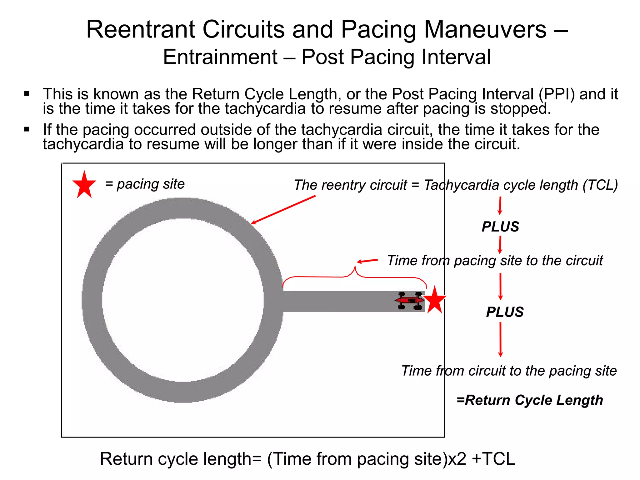 Reentrant Circuits and Pacing Maneuvers –
                    Entrainment – Post Pacing Interval
 This is known as the Return Cycle Length, or the Post Pacing Interval (PPI) and it
  is the time it takes for the tachycardia to resume after pacing is stopped.
 If the pacing occurred outside of the tachycardia circuit, the time it takes for the
  tachycardia to resume will be longer than if it were inside the circuit.

           = pacing site              The reentry circuit = Tachycardia cycle length (TCL)

                                                                    PLUS

                                                    Time from pacing site to the circuit


                                                                     PLUS



                                                       Time from circuit to the pacing site

                                                                =Return Cycle Length


117        Return cycle length= (Time from pacing site)x2 +TCL
 