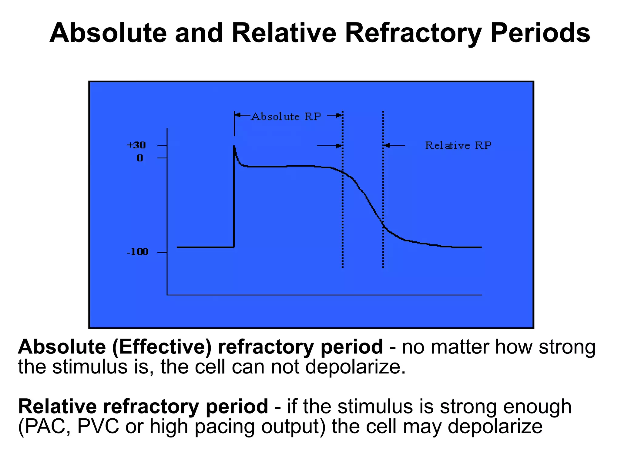 Absolute and Relative Refractory Periods




Absolute (Effective) refractory period - no matter how strong
the stimulus is, the cell can not depolarize.
Relative refractory period - if the stimulus is strong enough
(PAC, PVC or high pacing output) the cell may depolarize
12
 