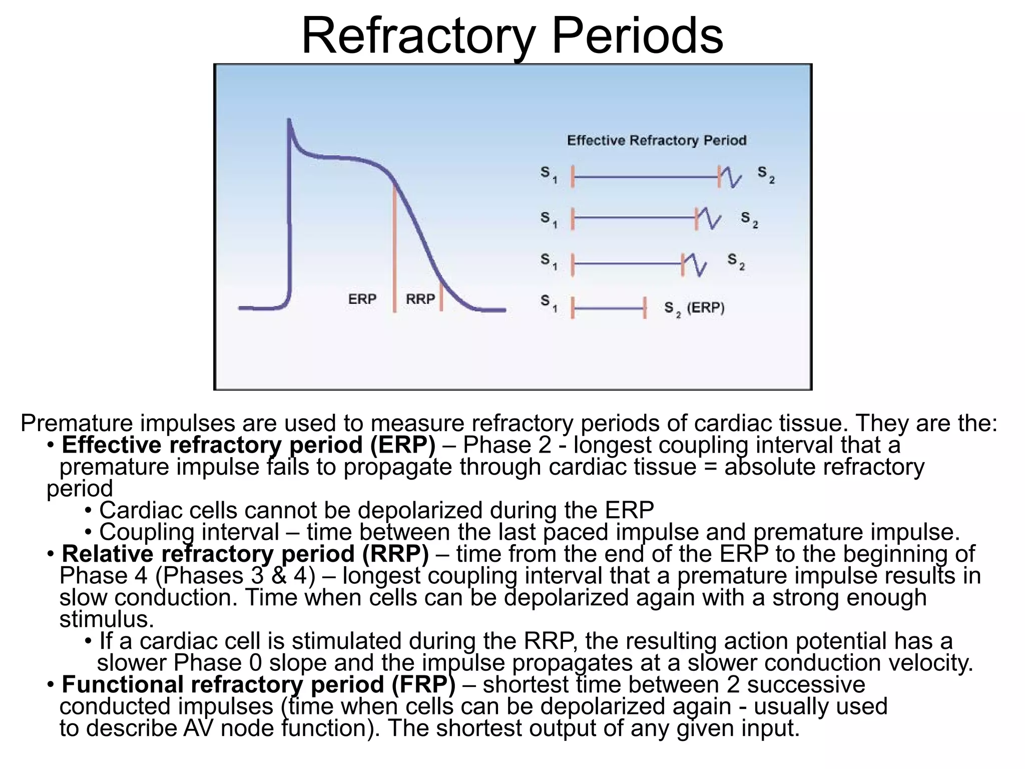 Refractory Periods




Premature impulses are used to measure refractory periods of cardiac tissue. They are the:
  • Effective refractory period (ERP) – Phase 2 - longest coupling interval that a
    premature impulse fails to propagate through cardiac tissue = absolute refractory
  period
       • Cardiac cells cannot be depolarized during the ERP
       • Coupling interval – time between the last paced impulse and premature impulse.
  • Relative refractory period (RRP) – time from the end of the ERP to the beginning of
    Phase 4 (Phases 3 & 4) – longest coupling interval that a premature impulse results in
    slow conduction. Time when cells can be depolarized again with a strong enough
    stimulus.
       • If a cardiac cell is stimulated during the RRP, the resulting action potential has a
         slower Phase 0 slope and the impulse propagates at a slower conduction velocity.
  • Functional refractory period (FRP) – shortest time between 2 successive
    conducted impulses (time when cells can be depolarized again - usually used
  14 describe AV node function). The shortest output of any given input.
    to
 