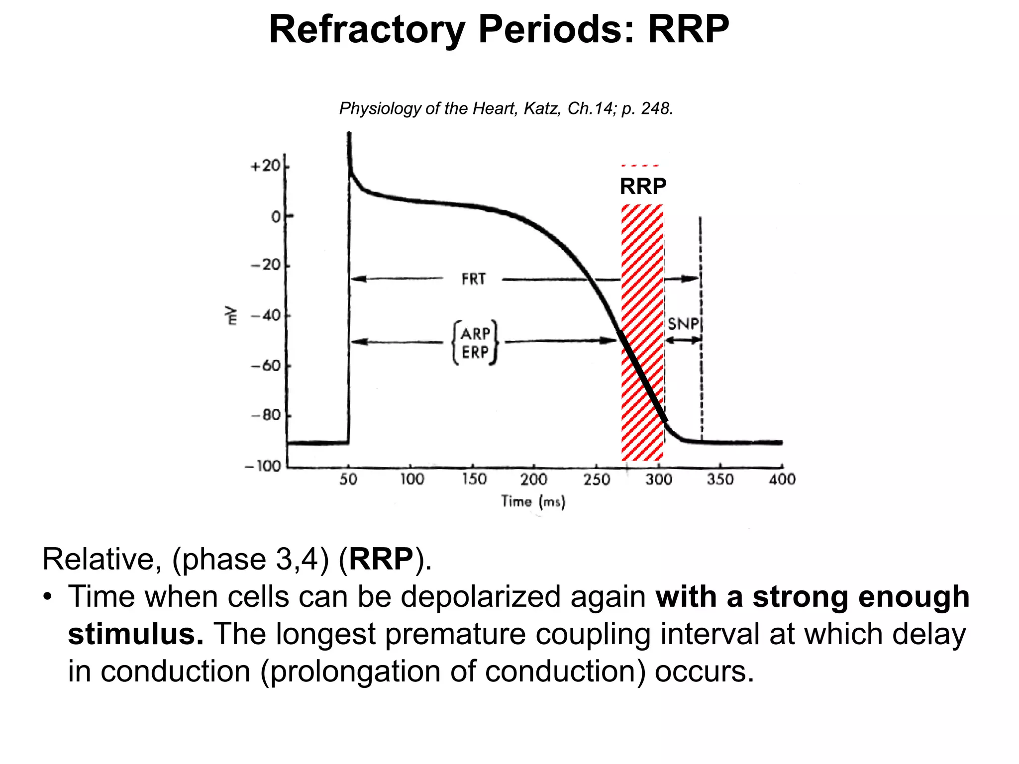 Refractory Periods: RRP
                     Physiology of the Heart, Katz, Ch.14; p. 248.



                                                          RRP




Relative, (phase 3,4) (RRP).
• Time when cells can be depolarized again with a strong enough
  stimulus. The longest premature coupling interval at which delay
  in conduction (prolongation of conduction) occurs.
32
 