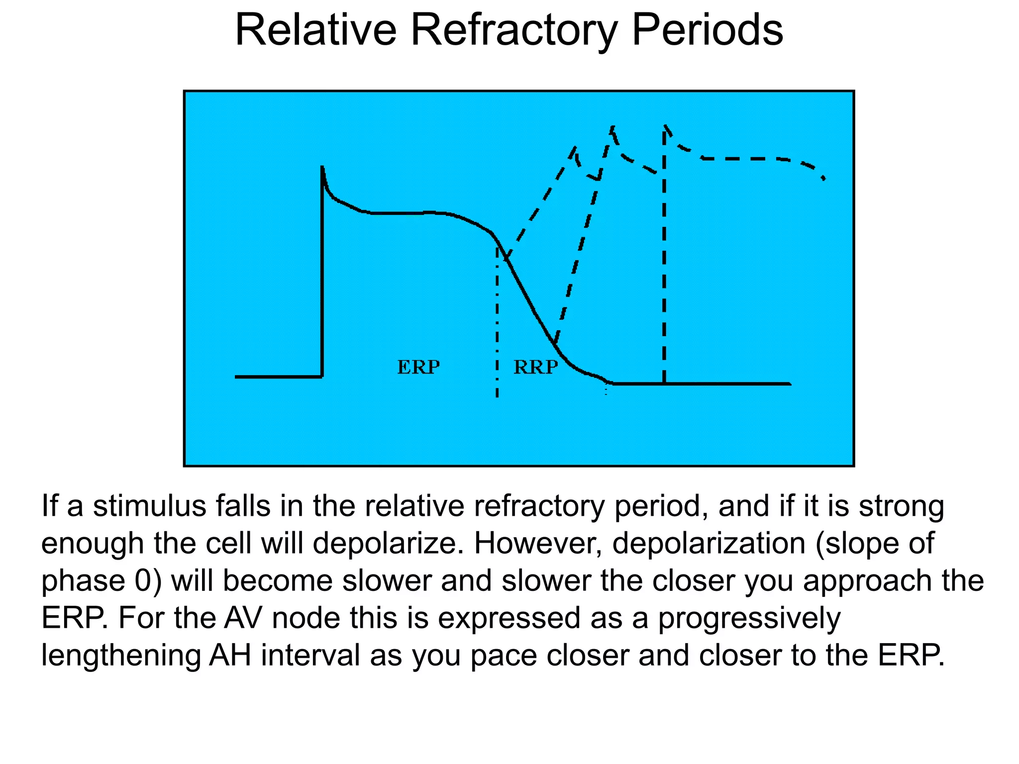 Relative Refractory Periods




If a stimulus falls in the relative refractory period, and if it is strong
enough the cell will depolarize. However, depolarization (slope of
phase 0) will become slower and slower the closer you approach the
ERP. For the AV node this is expressed as a progressively
lengthening AH interval as you pace closer and closer to the ERP.

33
 