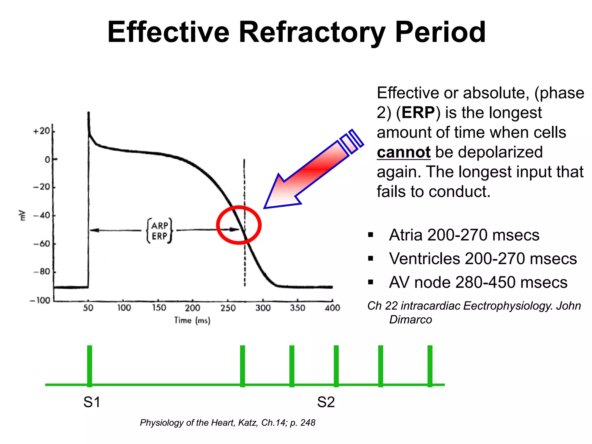 Effective Refractory Period
                                                                 Effective or absolute, (phase
                                                                 2) (ERP) is the longest
                                                                 amount of time when cells
                                                                 cannot be depolarized
                                                                 again. The longest input that
                                                                 fails to conduct.

                                                                 Atria 200-270 msecs
                                                                 Ventricles 200-270 msecs
                                                                 AV node 280-450 msecs
                                                                Ch 22 intracardiac Eectrophysiology. John
                                                                    Dimarco




     S1                                                    S2
50          Physiology of the Heart, Katz, Ch.14; p. 248
 
