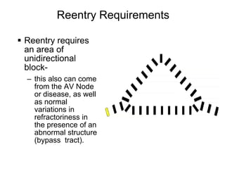 Reentry Requirements

       Reentry requires
        an area of
        unidirectional
        block-
        – this also can come
          from the AV Node
          or disease, as well
          as normal
          variations in
          refractoriness in
          the presence of an
          abnormal structure
          (bypass tract).

108
 