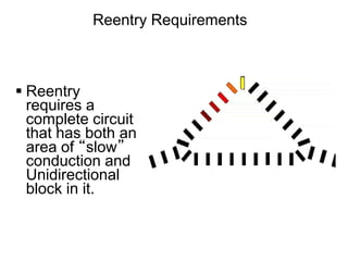 Reentry Requirements



 Reentry
  requires a
  complete circuit
  that has both an
  area of “slow”
  conduction and
  Unidirectional
  block in it.


109
 