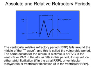 Absolute and Relative Refractory Periods




The ventricular relative refractory period (RRP) falls around the
middle of the “T wave”, and this is called the vulnerable period.
The same occurs for the atrium. If a stimulus or PVC in the
ventricle or PAC in the atrium falls in this period, it may induce
either atrial fibrillation (if in the atrial RRP), or ventricular
tachycardia or ventricular fibrillation (if in the ventricular RRP).
13
 