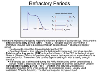 Refractory Periods




Premature impulses are used to measure refractory periods of cardiac tissue. They are the:
  • Effective refractory period (ERP) – Phase 2 - longest coupling interval that a
    premature impulse fails to propagate through cardiac tissue = absolute refractory
  period
       • Cardiac cells cannot be depolarized during the ERP
       • Coupling interval – time between the last paced impulse and premature impulse.
  • Relative refractory period (RRP) – time from the end of the ERP to the beginning of
    Phase 4 (Phases 3 & 4) – longest coupling interval that a premature impulse results in
    slow conduction. Time when cells can be depolarized again with a strong enough
    stimulus.
       • If a cardiac cell is stimulated during the RRP, the resulting action potential has a
         slower Phase 0 slope and the impulse propagates at a slower conduction velocity.
  • Functional refractory period (FRP) – shortest time between 2 successive
    conducted impulses (time when cells can be depolarized again - usually used
  14 describe AV node function). The shortest output of any given input.
    to
 