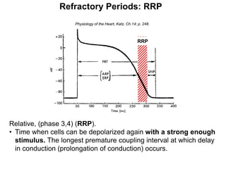Refractory Periods: RRP
                     Physiology of the Heart, Katz, Ch.14; p. 248.



                                                          RRP




Relative, (phase 3,4) (RRP).
• Time when cells can be depolarized again with a strong enough
  stimulus. The longest premature coupling interval at which delay
  in conduction (prolongation of conduction) occurs.
32
 