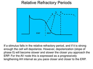 Relative Refractory Periods




If a stimulus falls in the relative refractory period, and if it is strong
enough the cell will depolarize. However, depolarization (slope of
phase 0) will become slower and slower the closer you approach the
ERP. For the AV node this is expressed as a progressively
lengthening AH interval as you pace closer and closer to the ERP.

33
 