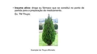 • Insumo ativo: droga ou fármaco que se constitui no ponto de
partida para a preparação de medicamento.
Ex. TM Thuya;
Exemplar de Thuya officinalis;
 